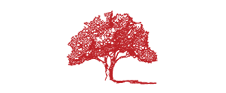 Gardener's Nail Brush – Red Orchard