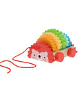 Rainbow Hedgehog Wooden Pull Toy