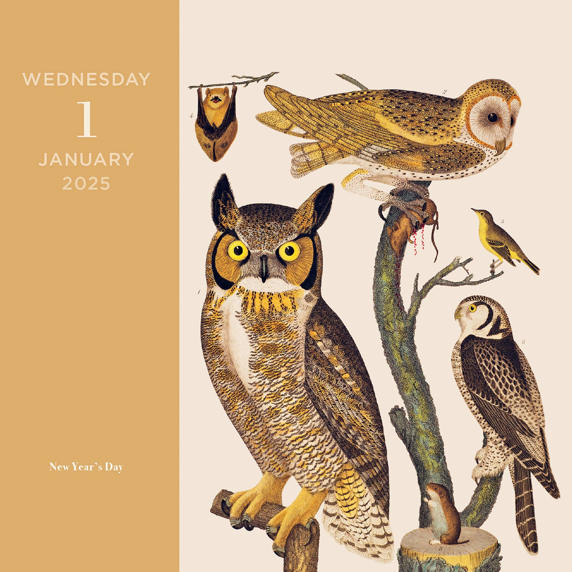 Natural Histories Animal Kingdom 2025 Day-to-Day Calendar