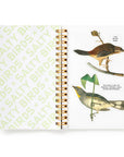 Salty Birds Sticker Book